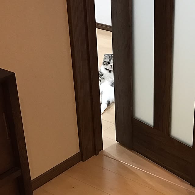 Dahliaさんの実例写真