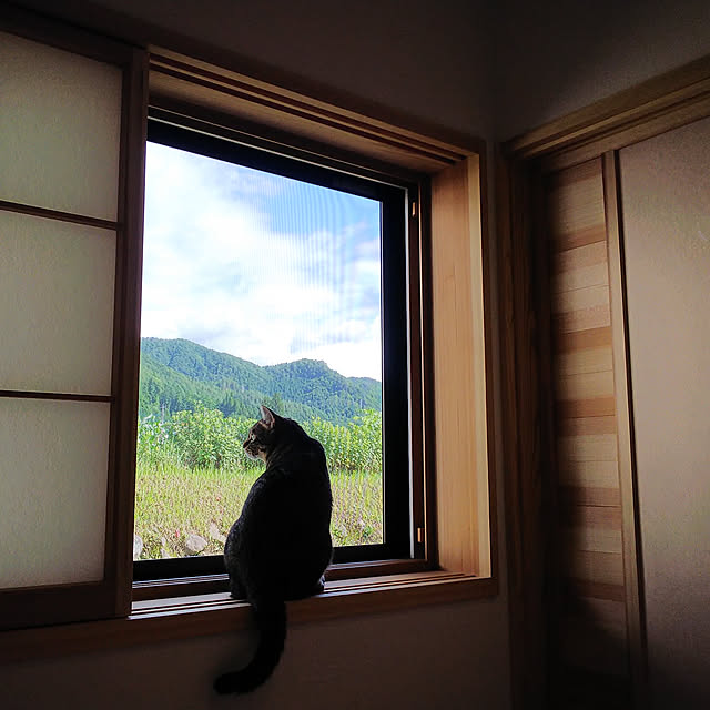ベッド周り/ねこと暮らす/猫のいる部屋/木のぬくもり/障子...などのインテリア実例 - 2020-07-15 21:51:01