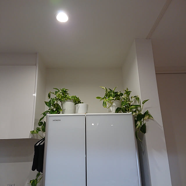 ynryさんの実例写真