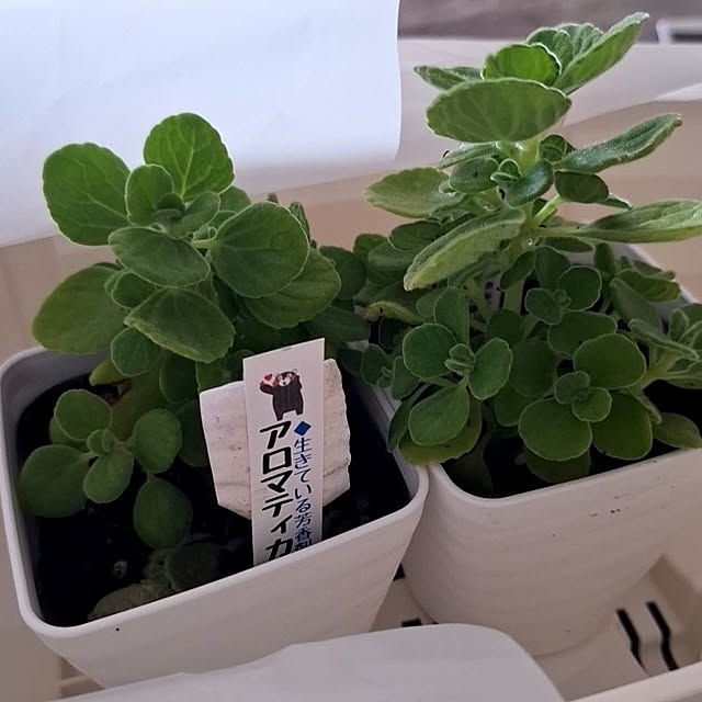 mi.namiさんの部屋
