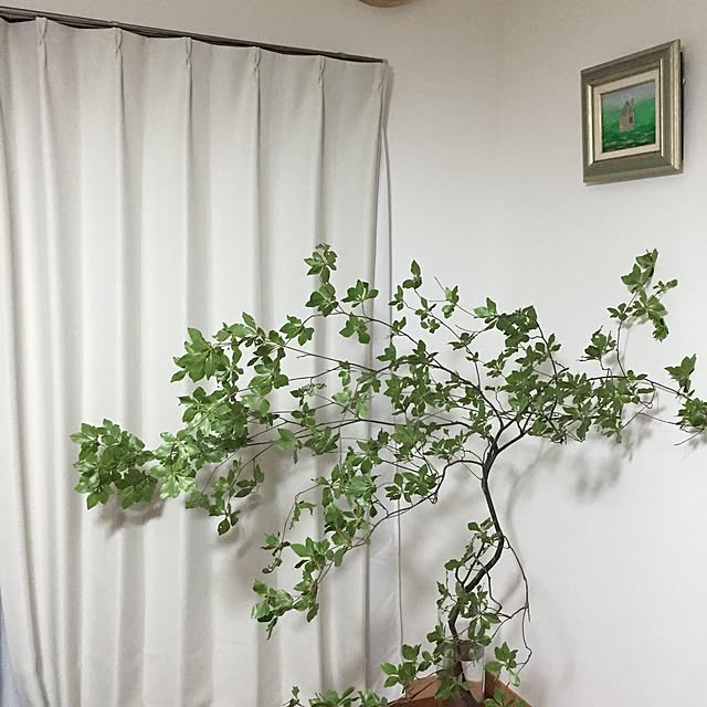 n.akk.wさんの実例写真