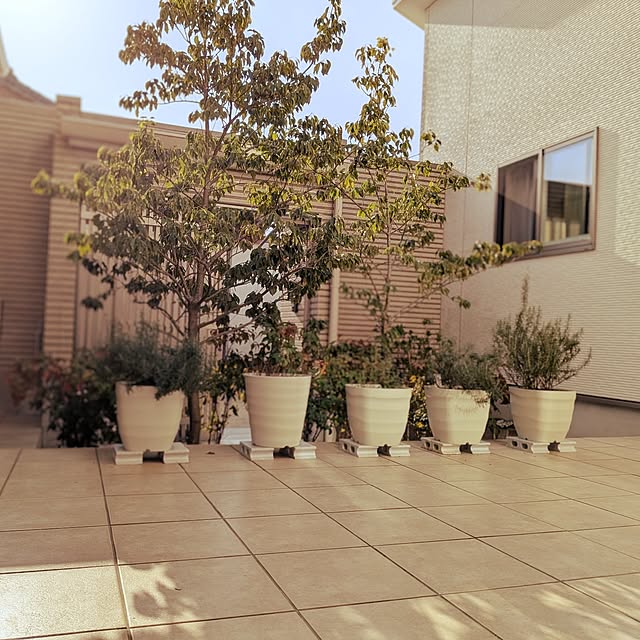 kumijiさんの実例写真