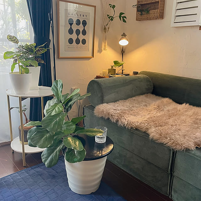 kuroさんの実例写真