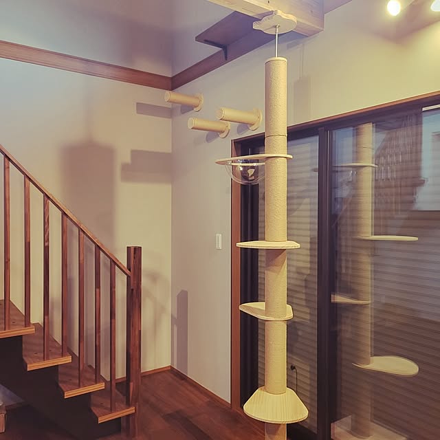 112さんの実例写真