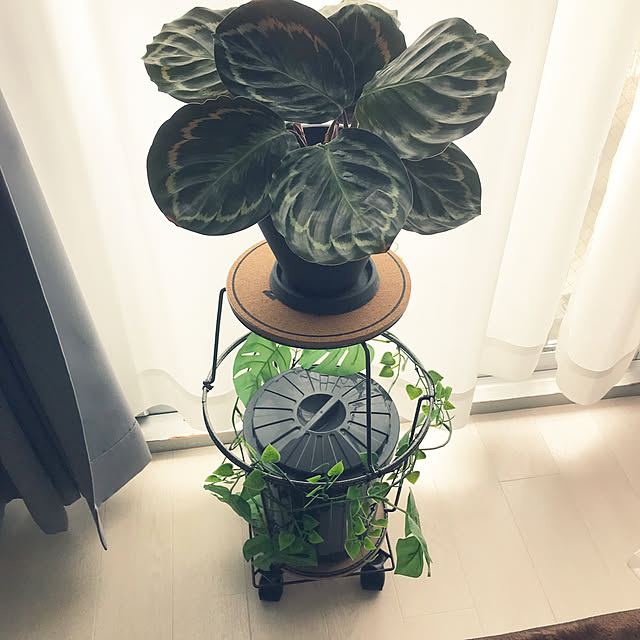 kakoさんの実例写真
