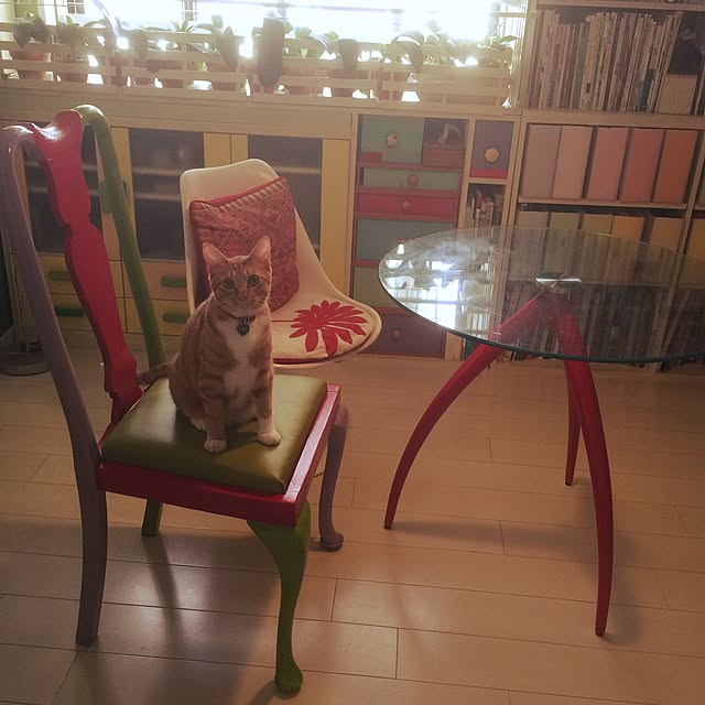 kimishigureさんの実例写真