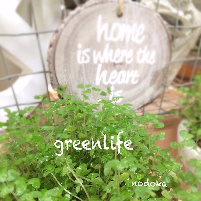 nodokaさんの実例写真