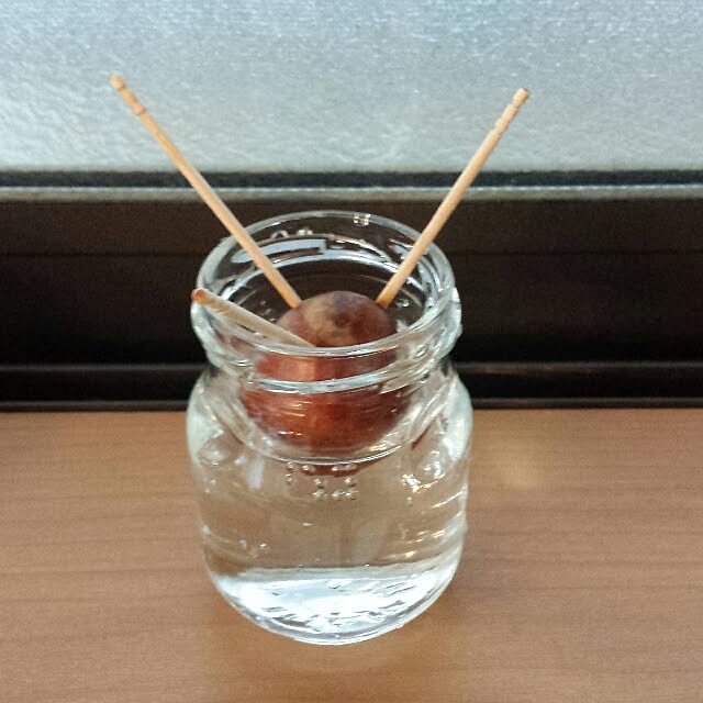 NaNanさんの実例写真