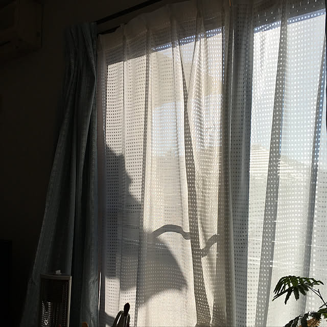 Saraさんの実例写真