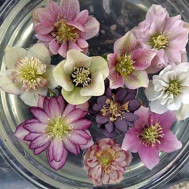 hirowabuta17さんの部屋