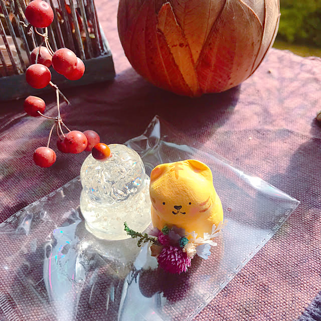 portulacaさんの実例写真