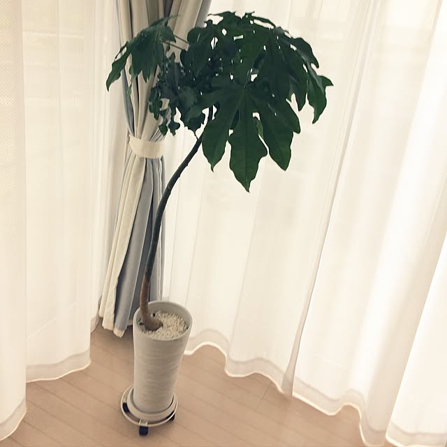 emiさんの実例写真