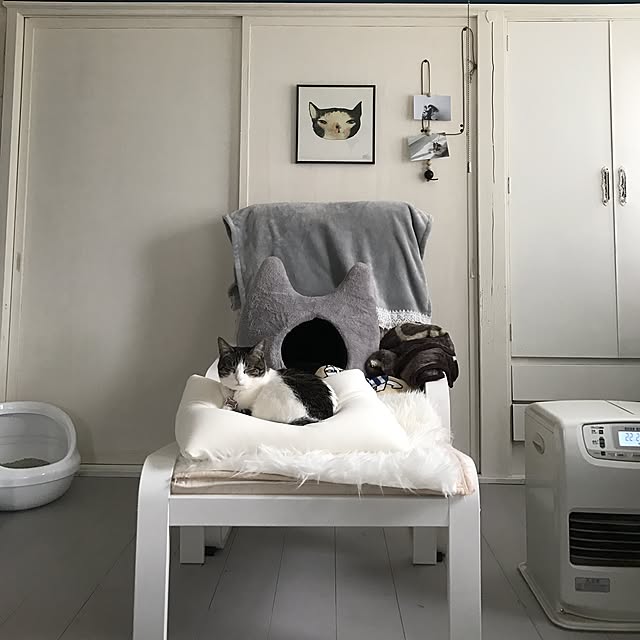 Shihoさんの実例写真