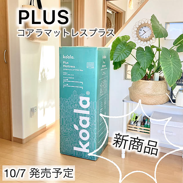 merutoさんの部屋