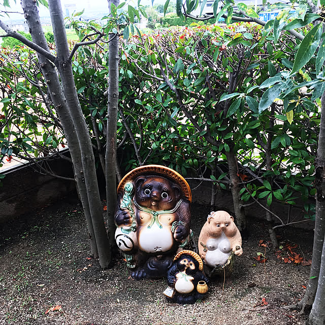 mama_sanさんの実例写真