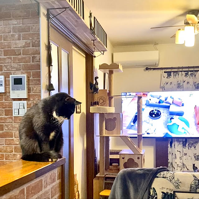 butachanさんの実例写真