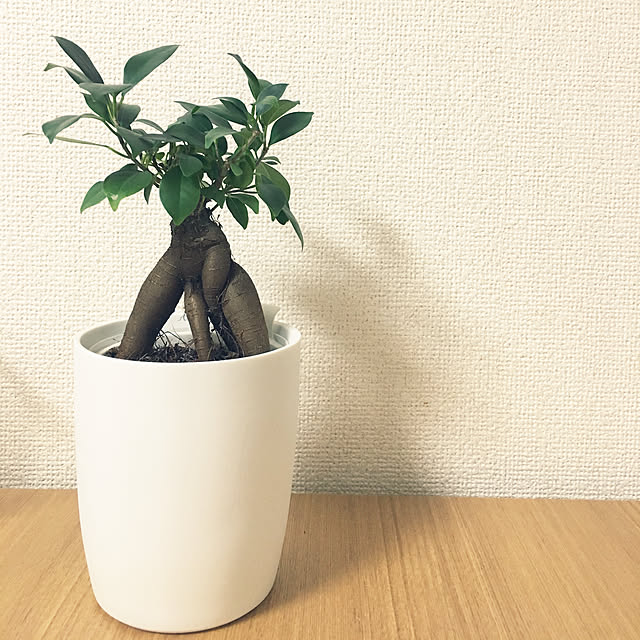 runrunさんの実例写真