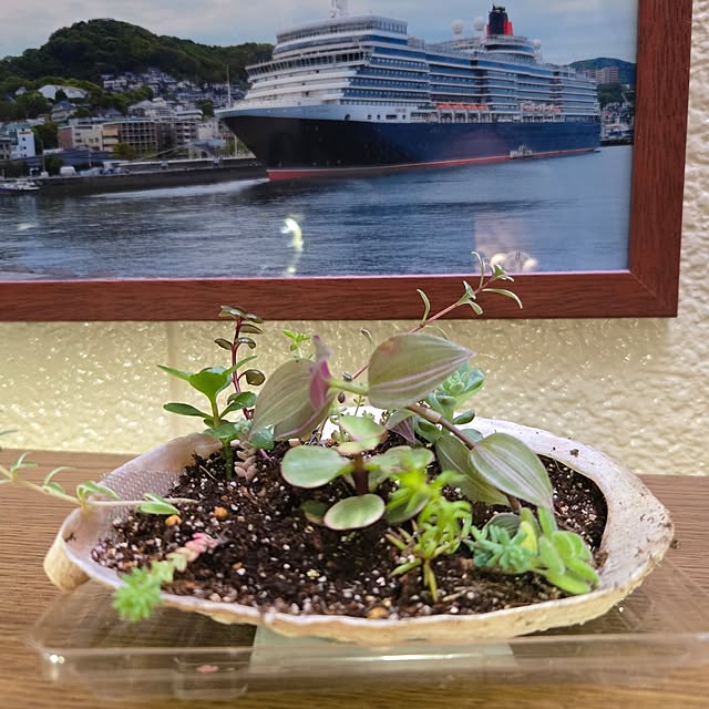 mitsuyama3136さんの実例写真