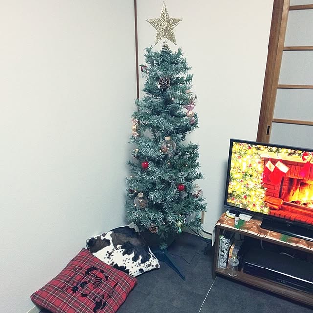 inochanさんの実例写真
