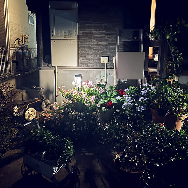 coraruさんの部屋