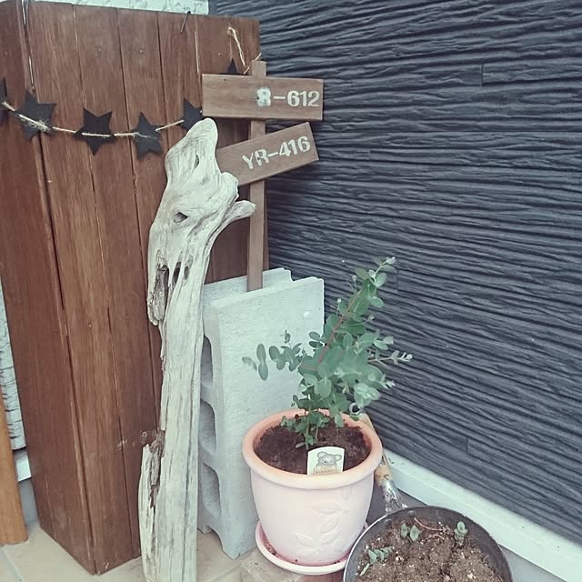 tree.0_0.underさんの実例写真