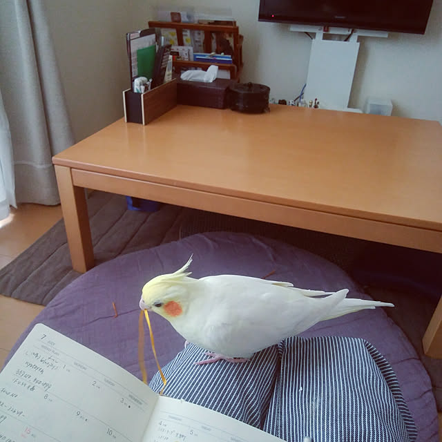 pontaさんの実例写真