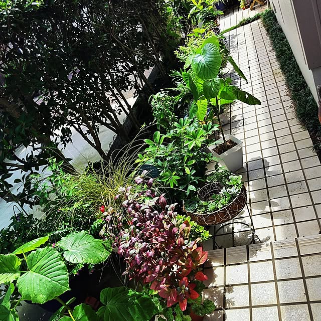 katさんの部屋