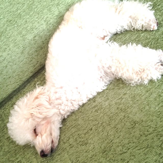 sweetholicさんの実例写真