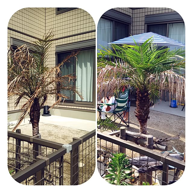 tamaさんの実例写真