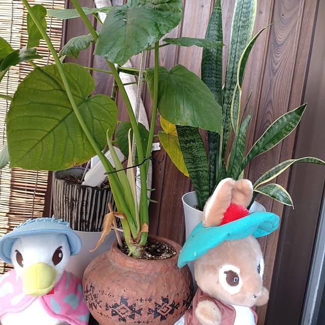 reikoさんの実例写真