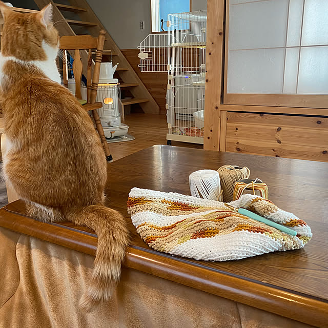 senbei.sakuramochiさんの実例写真