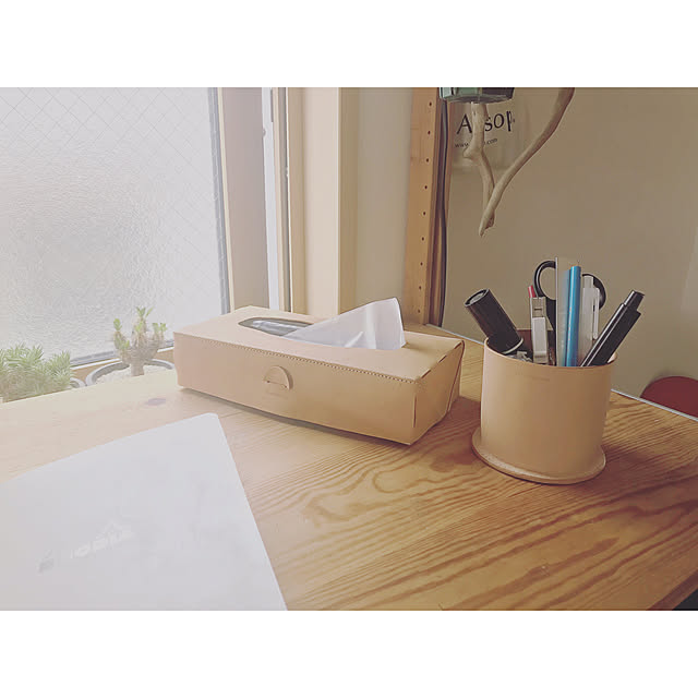 Dainosukeさんの実例写真