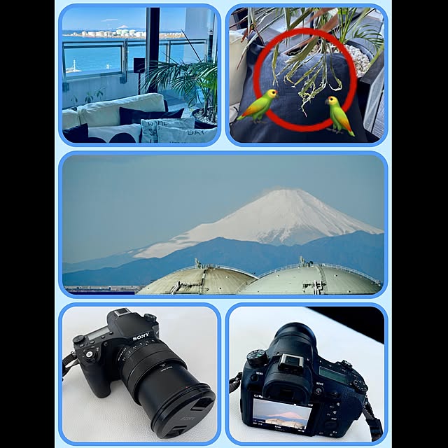 qooguriさんの実例写真