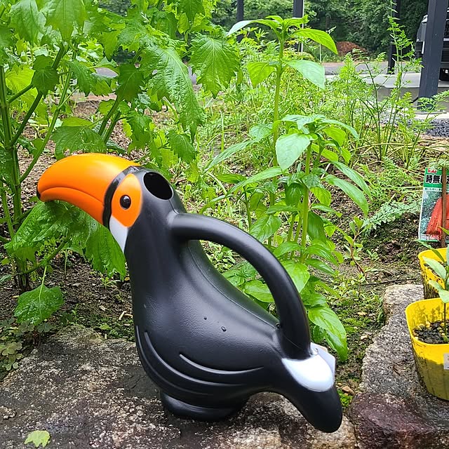 Rubiconさんの部屋