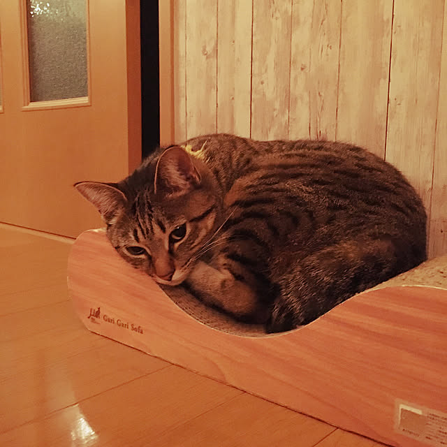 Mさんの実例写真