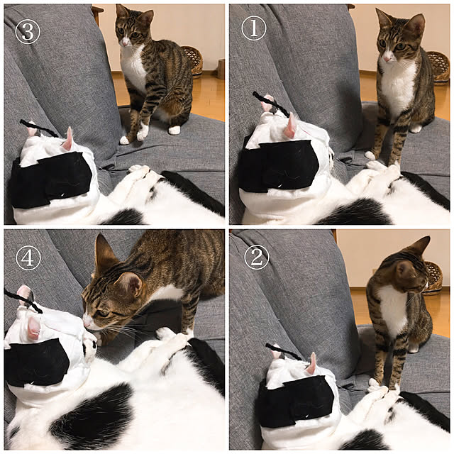 nobikoさんの実例写真