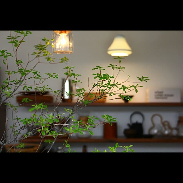 Hisashiさんの実例写真