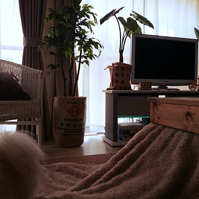 yukaさんの実例写真