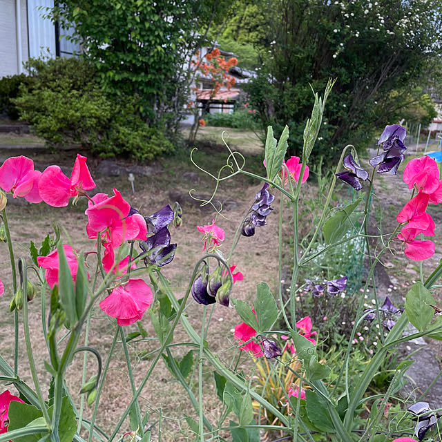 natsumiさんの部屋