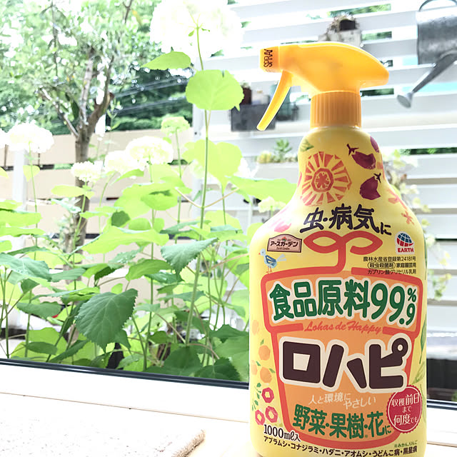 akkoさんの実例写真
