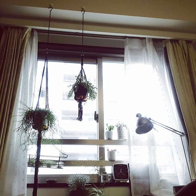 reikaさんの実例写真