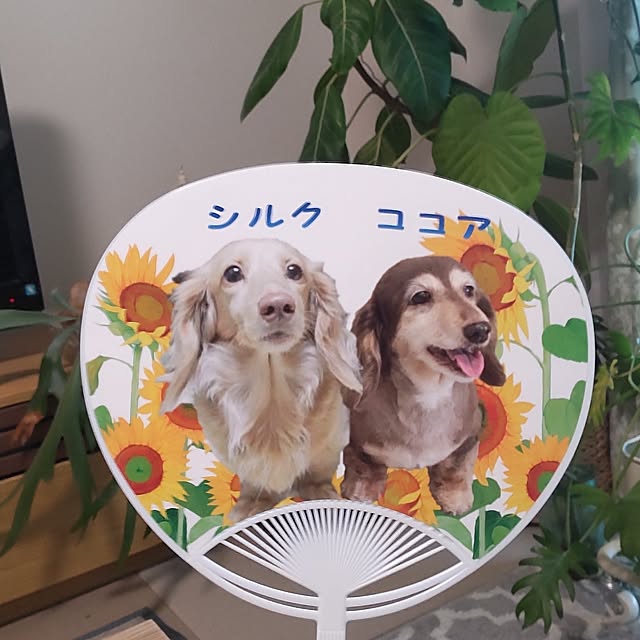 chocococoaさんの実例写真