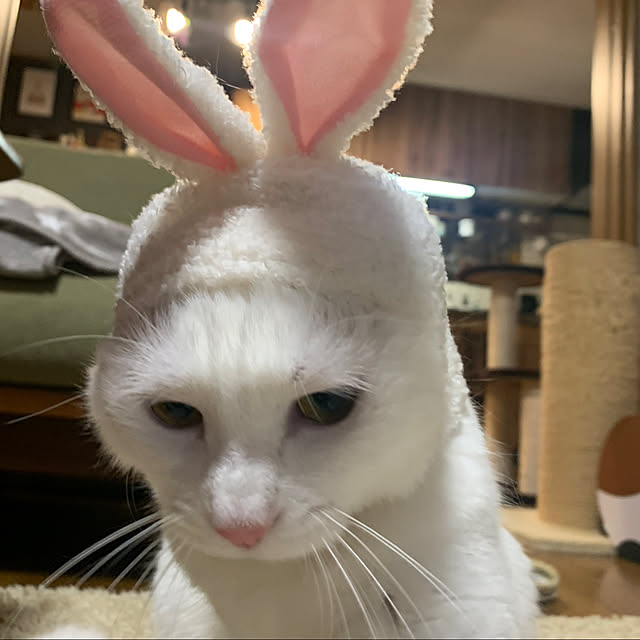 keiさんの実例写真