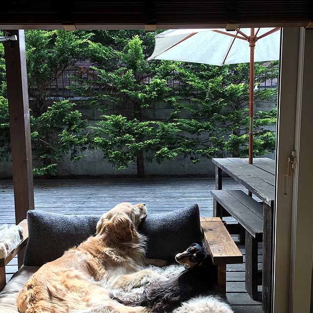 tomowithdogさんの実例写真