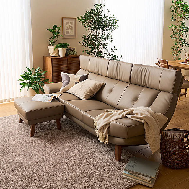 karimokuさんの部屋