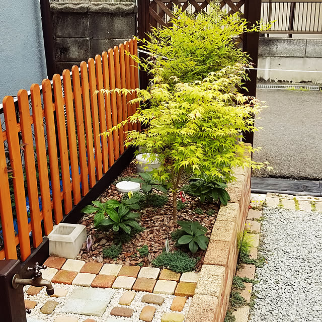 erusaraさんの実例写真