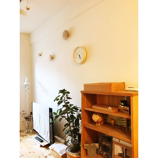 Hisayoさんの実例写真