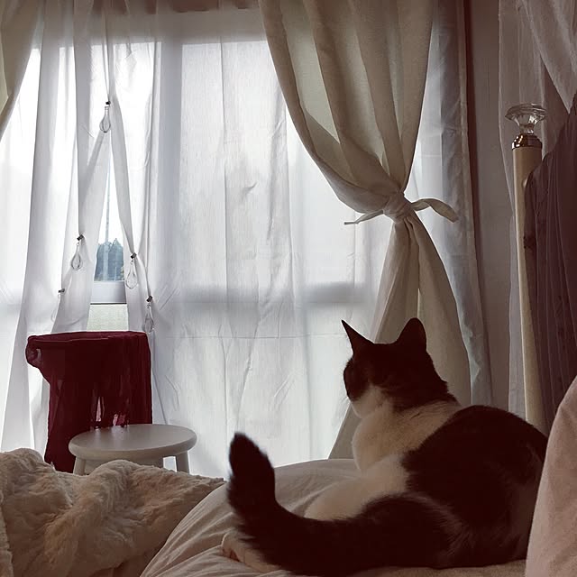 Shihoさんの実例写真
