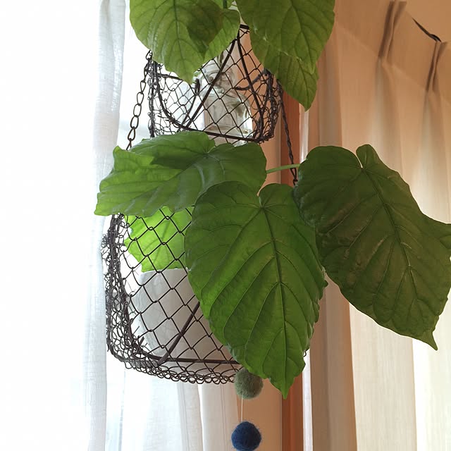 yukkoさんの実例写真
