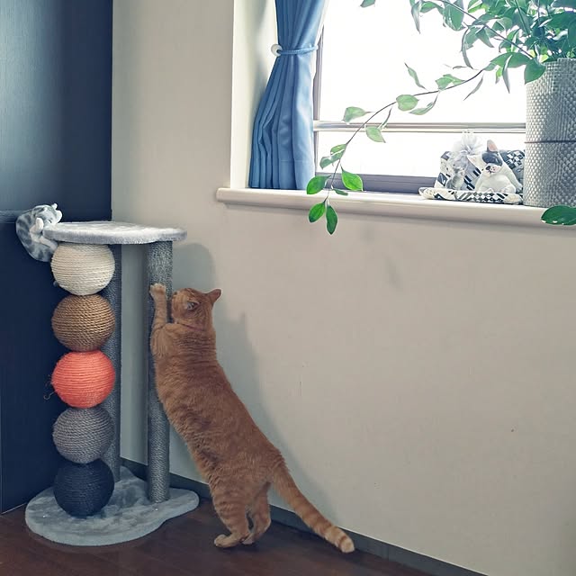 NOAHさんの部屋